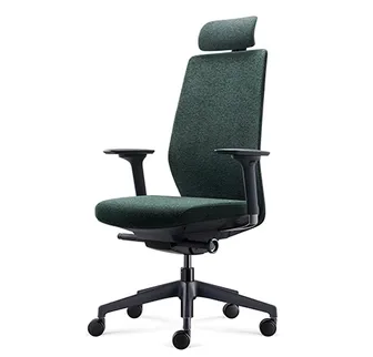 Fauteuil opératif D261